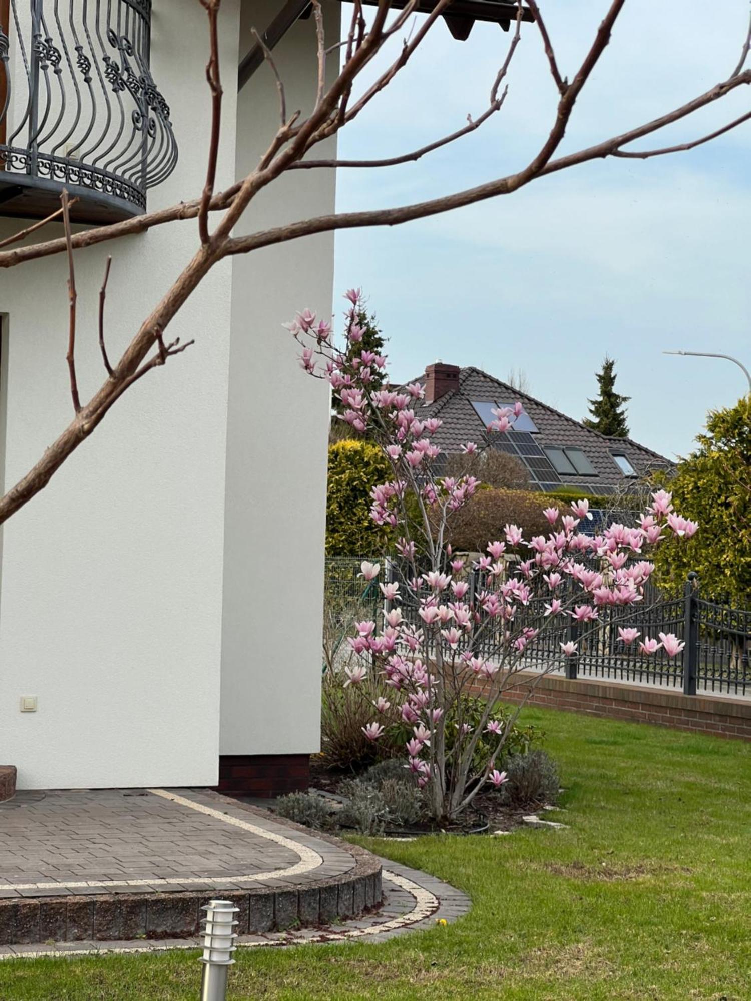 Apartamenty Bursztynowe Dębki Buitenkant foto